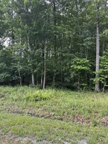 3031 Shawnee Road Crossville TN 38572