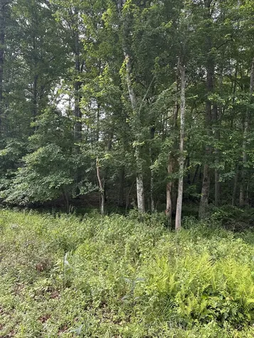3031 Shawnee Road Crossville TN 38572