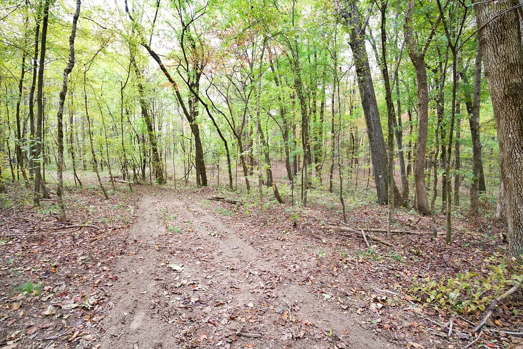 5906 Carter Lane Franklin TN 37064