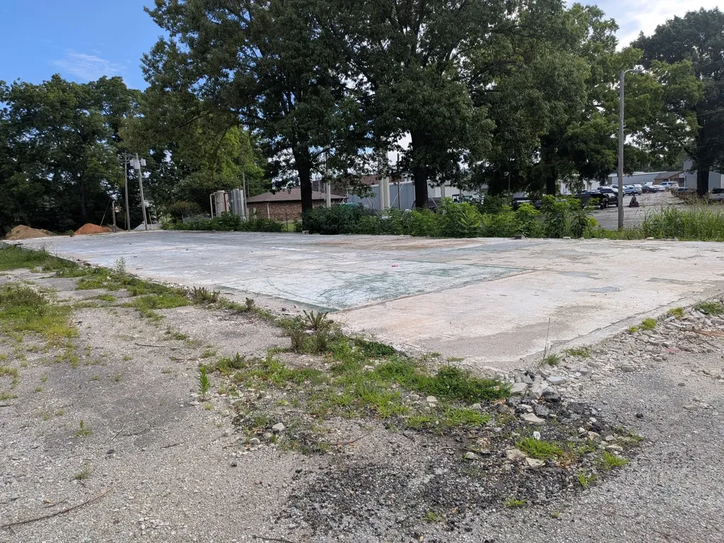 76 W Park Street Alamo TN 38001