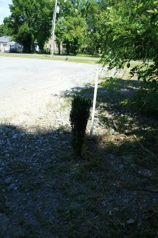 0 Hwy 82, E Bell Buckle TN 37020