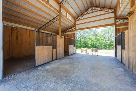 60 Proctor Road Henderson TN 38340