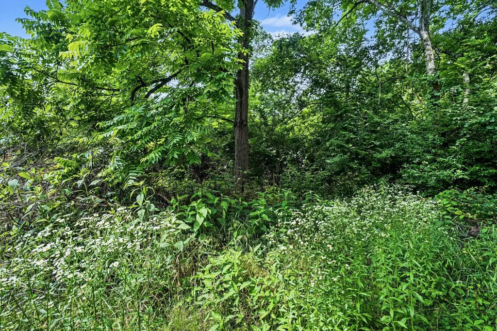 5986 Mount View Road Antioch TN 37013