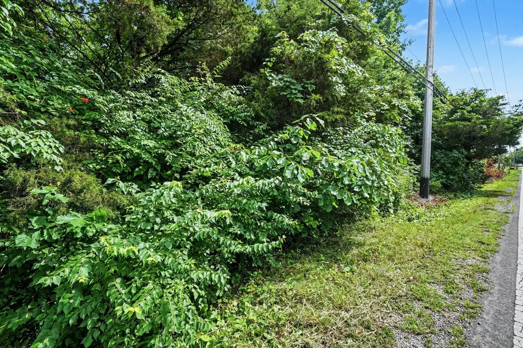 5986 Mount View Road Antioch TN 37013