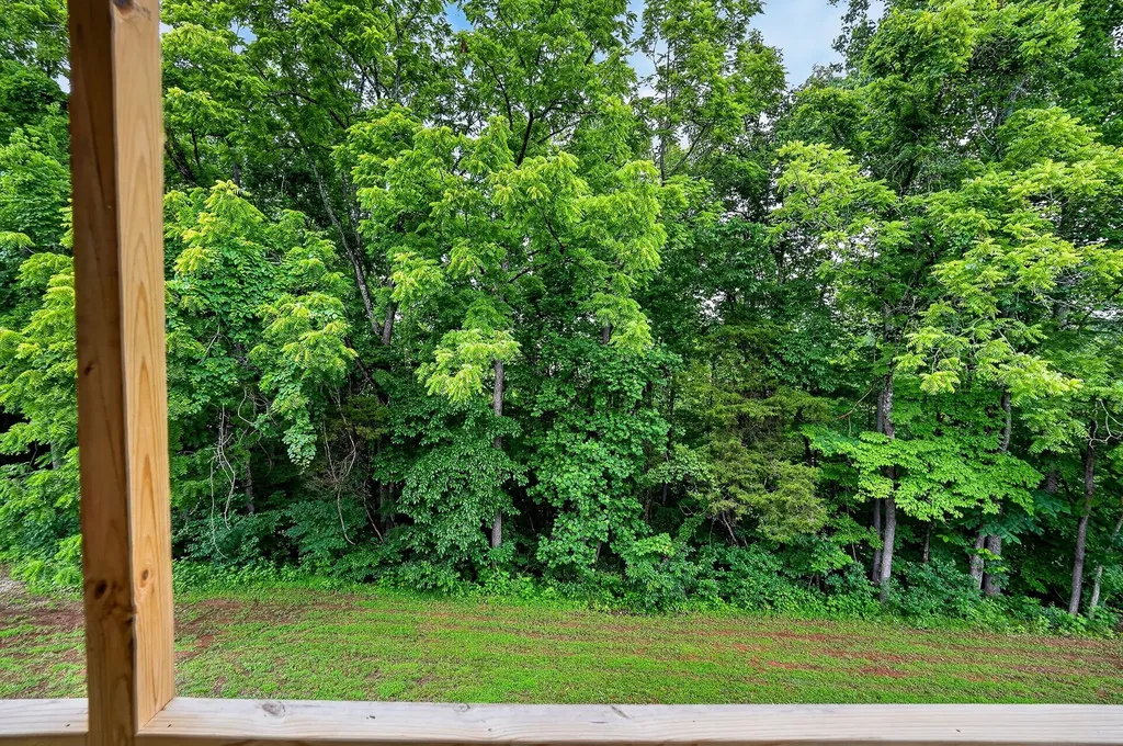 2011 Bear Creek Point Cookeville TN 38506