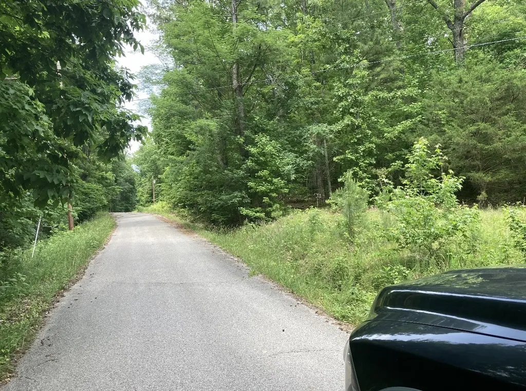 0 Briarwood Drive Erin TN 37061