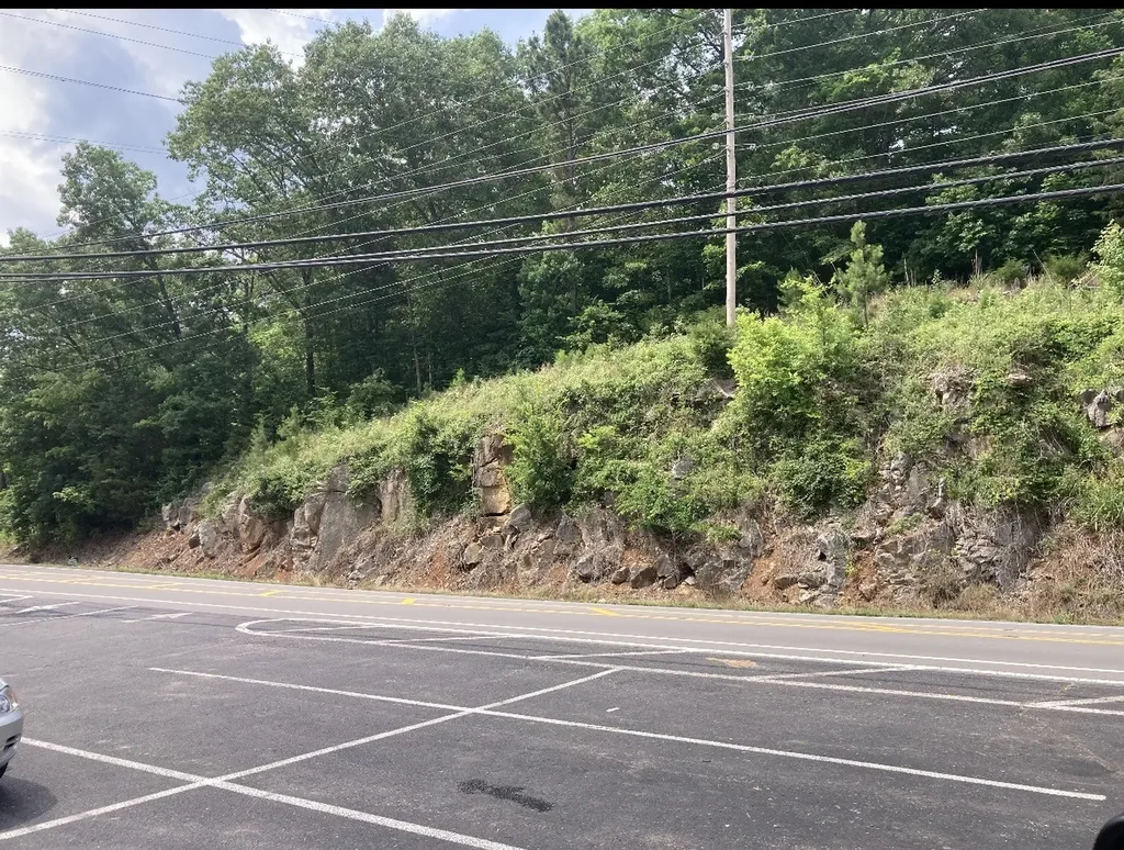 0 Briarwood Drive Erin TN 37061