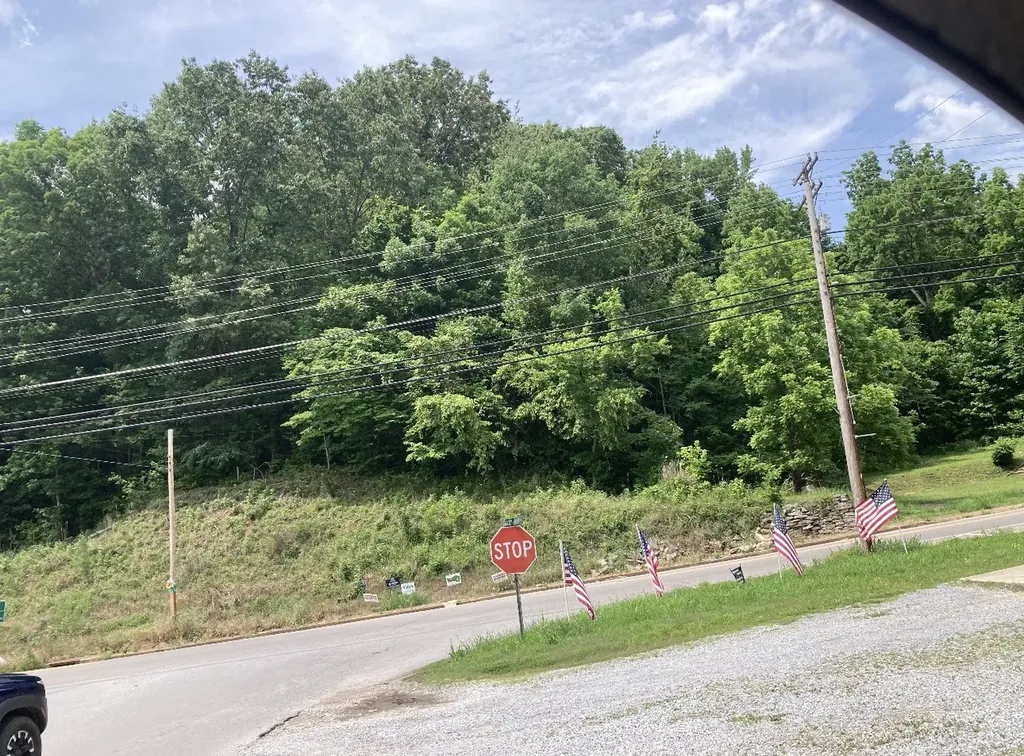 0 Briarwood Drive Erin TN 37061
