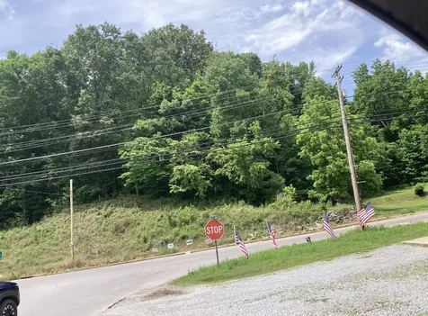 0 Briarwood Drive Erin TN 37061