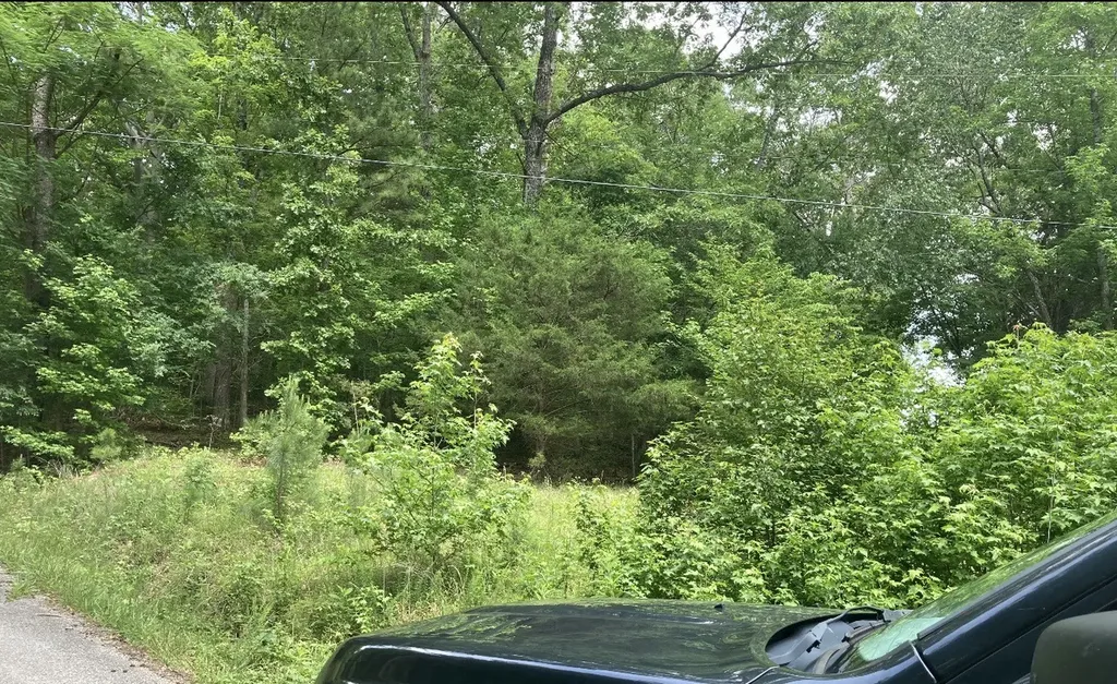0 Briarwood Drive Erin TN 37061