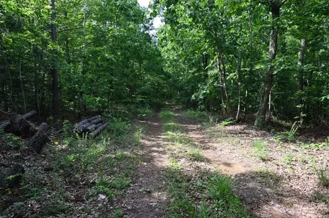 7170 Rockhouse Road Linden TN 37096