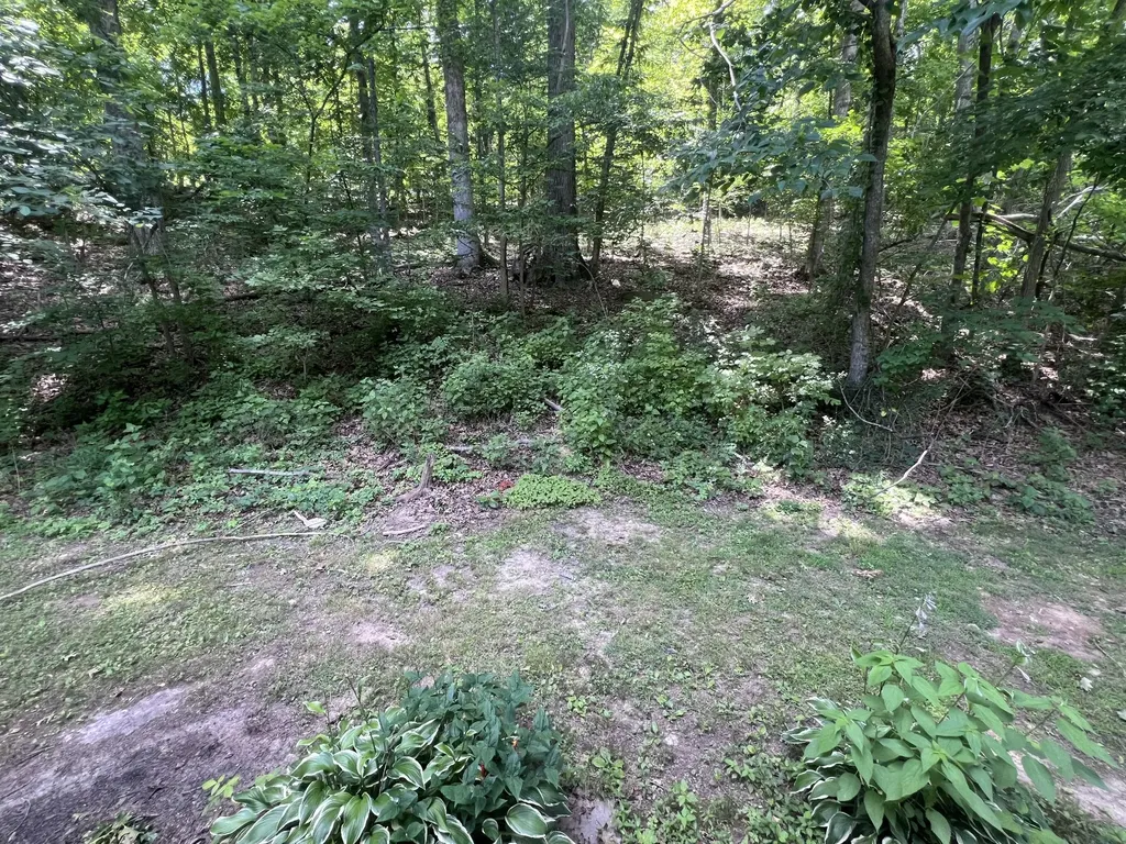 455 Beasley Hollow Road Linden TN 37096