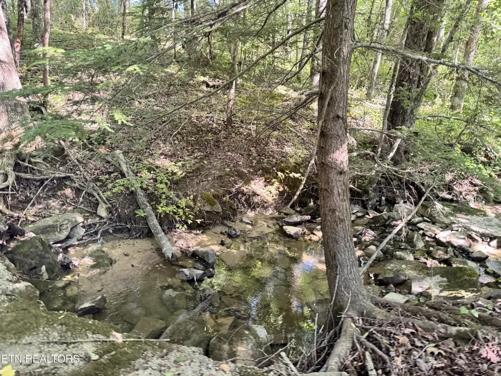 6986 S York Highway 6986 Clarkrange TN 38553