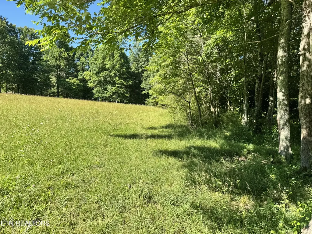 6986 S York Highway 6986 Clarkrange TN 38553