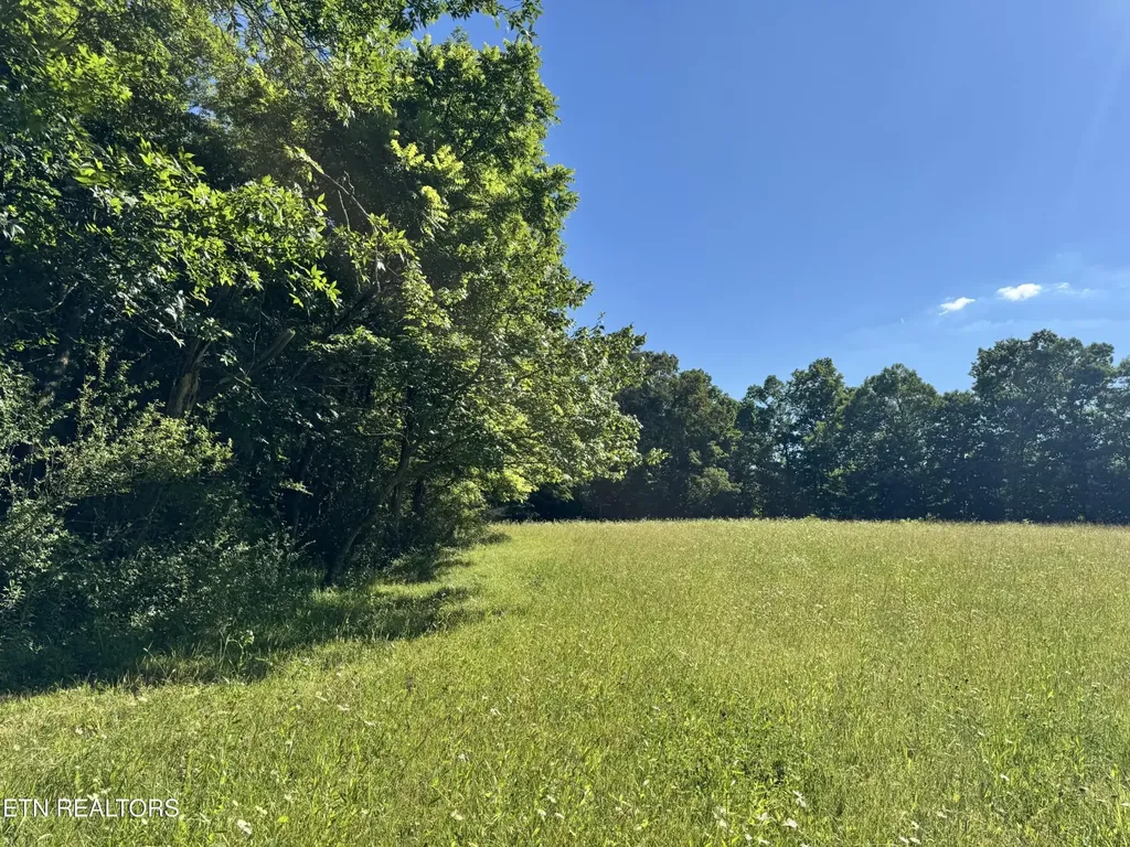 6986 S York Highway Clarkrange TN 38553