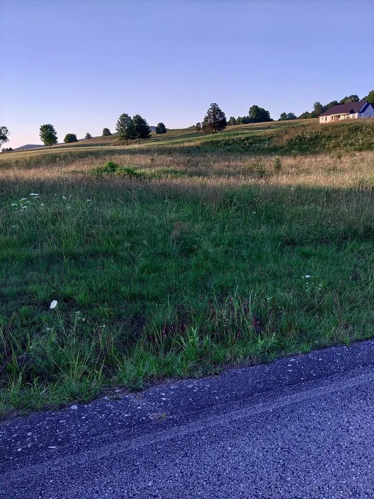 0 Collins Run Mc Minnville TN 37110