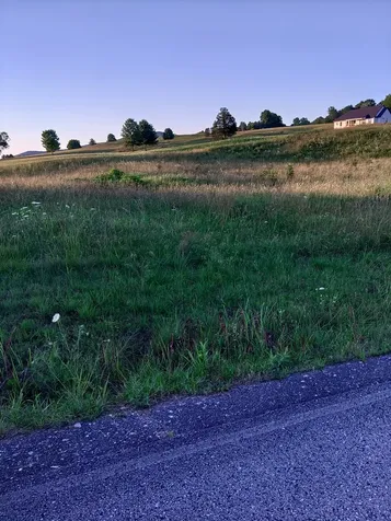 0 Collins Run Mc Minnville TN 37110