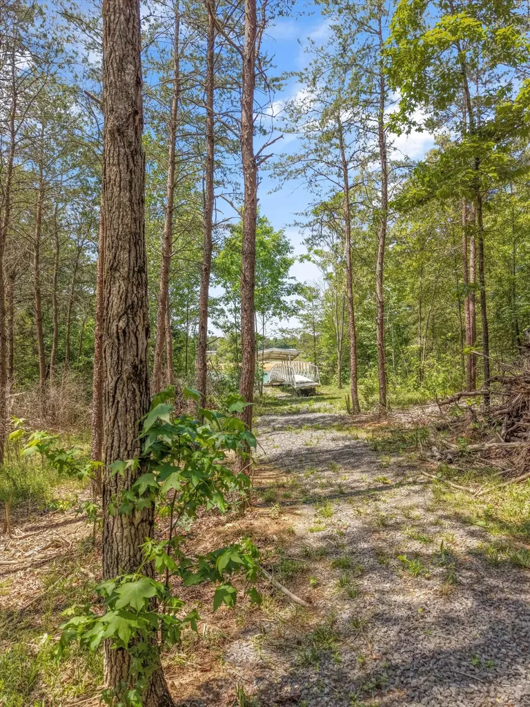 1925 Harbor Lane Dandridge TN 37725