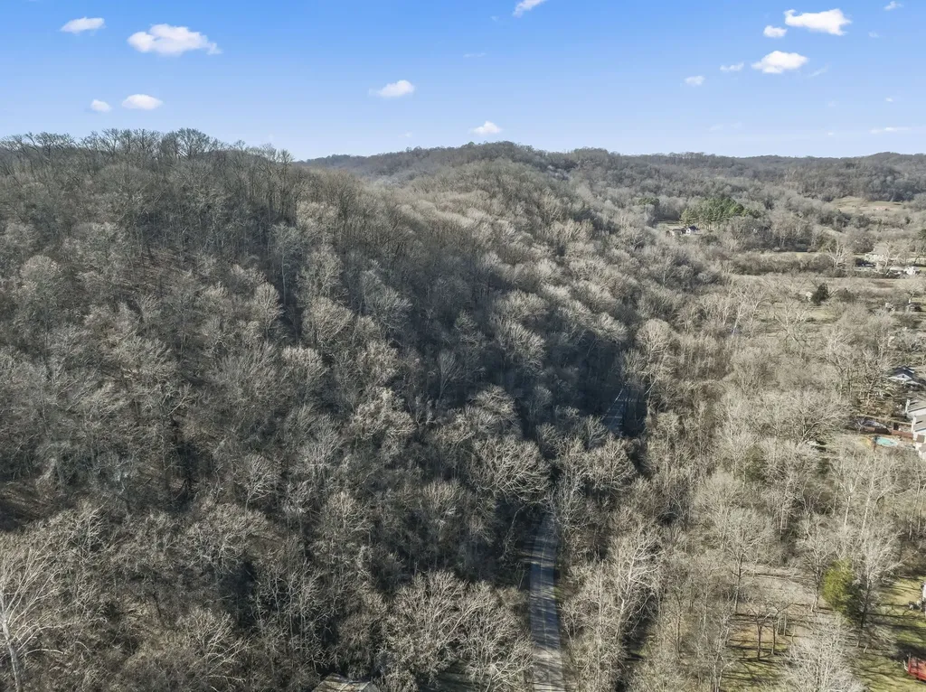 0 Dry Fork Road Whites Creek TN 37189