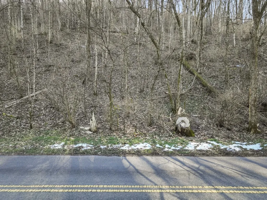 0 Dry Fork Road Whites Creek TN 37189