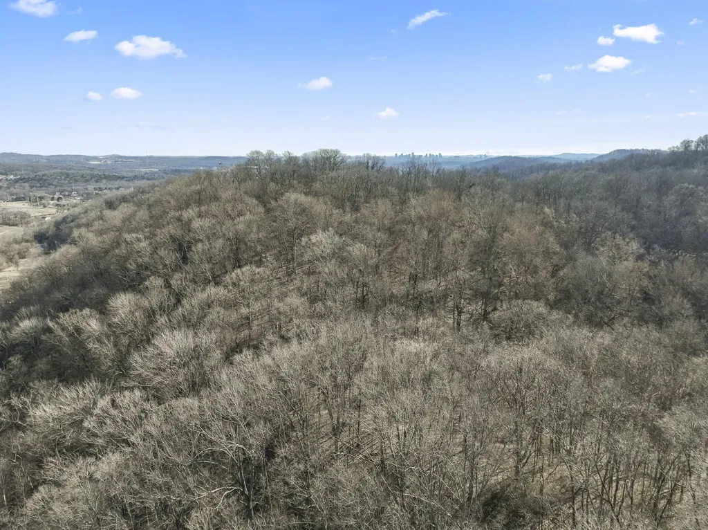0 Dry Fork Road Whites Creek TN 37189