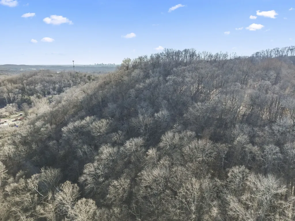 0 Dry Fork Road Whites Creek TN 37189