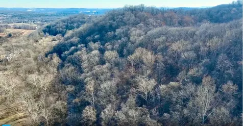 0 Dry Fork Road Whites Creek TN 37189