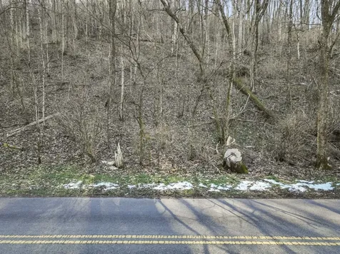 0 Dry Fork Road Whites Creek TN 37189