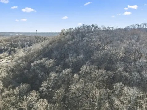 0 Dry Fork Road Whites Creek TN 37189