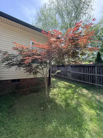 241 Quad Oak Drive Mount Juliet TN 37122