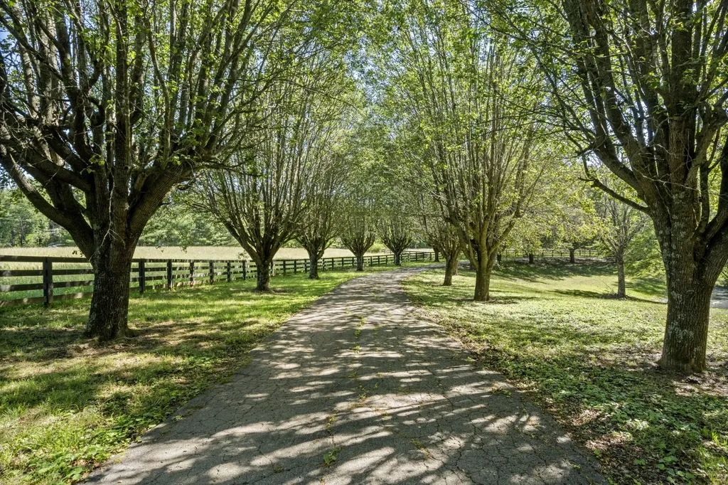 8238 Hawkins Road College Grove TN 37046