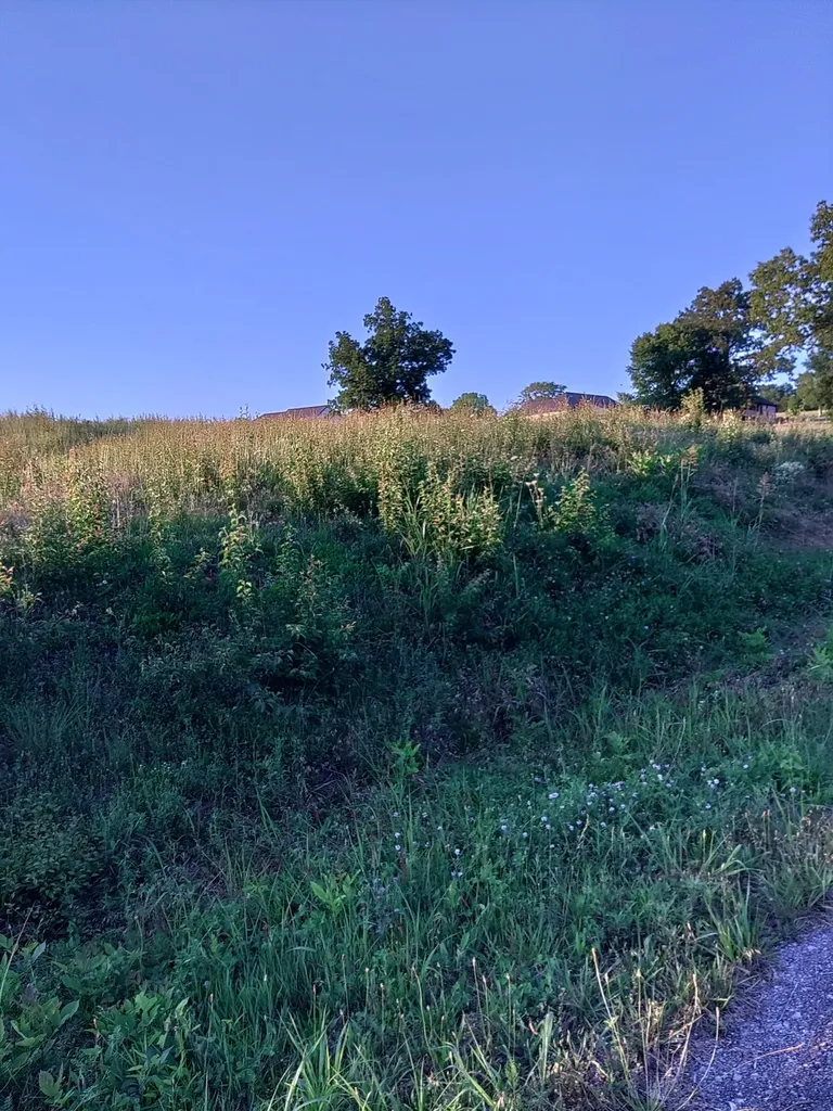 0 Collins Run Mc Minnville TN 37110