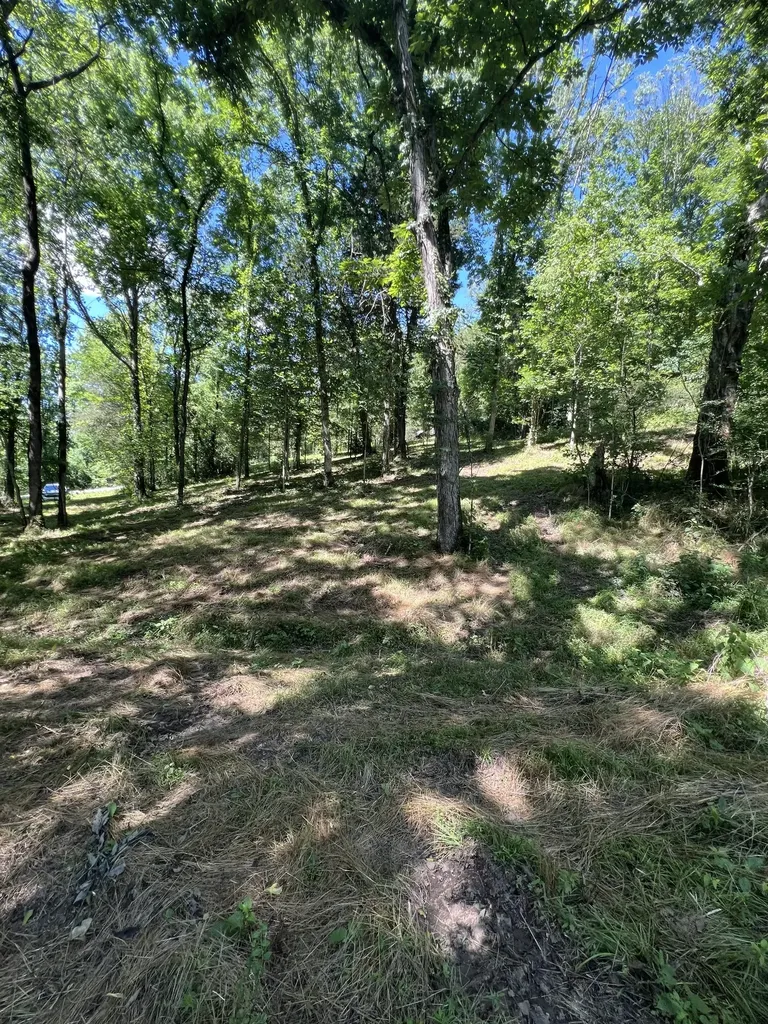 0 Horseshoe Bend Lane Elmwood TN 38560