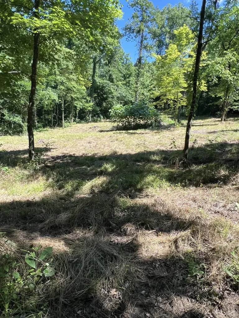0 Horseshoe Bend Lane Elmwood TN 38560