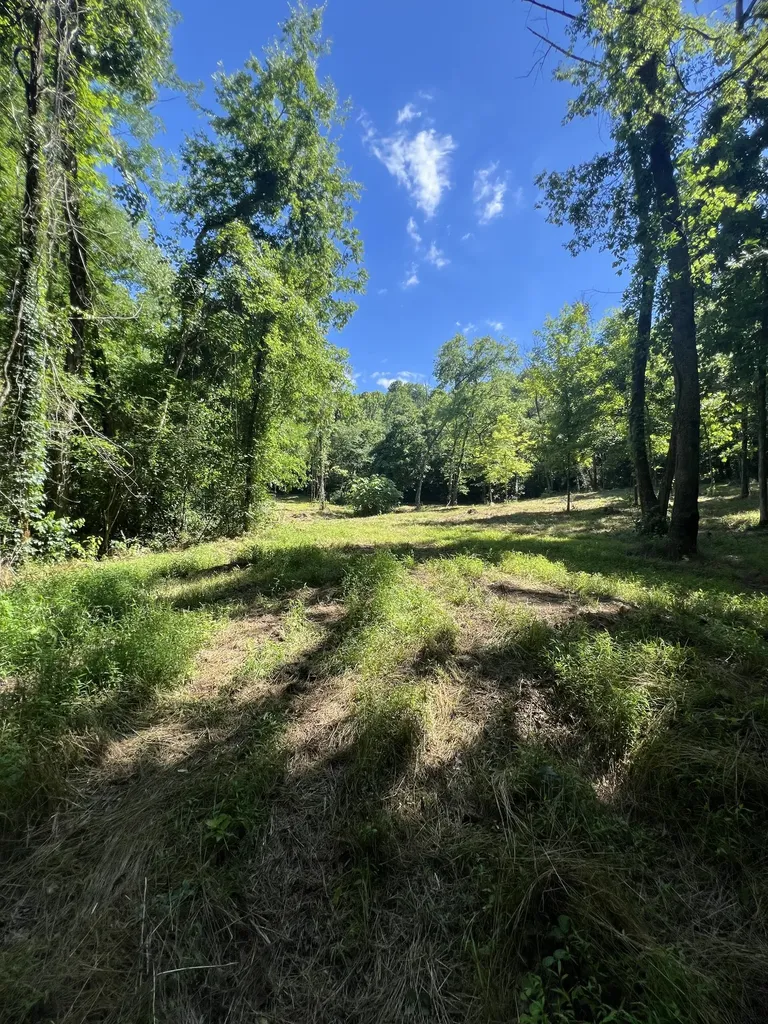 0 Horseshoe Bend Lane Elmwood TN 38560