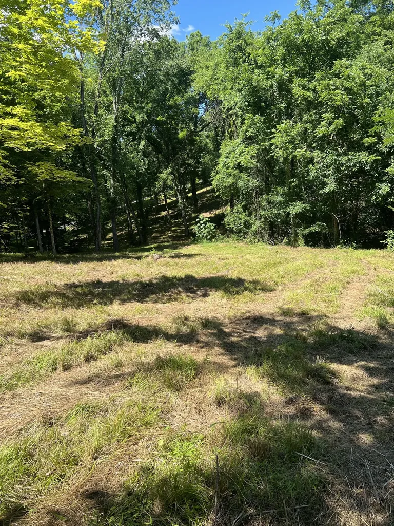 0 Horseshoe Bend Lane Elmwood TN 38560