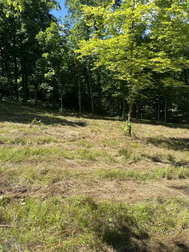 0 Horseshoe Bend Lane Elmwood TN 38560