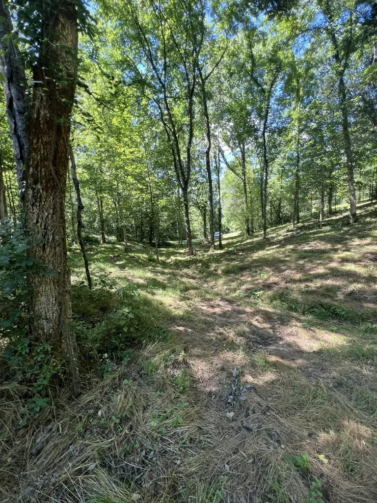 0 Horseshoe Bend Lane Elmwood TN 38560