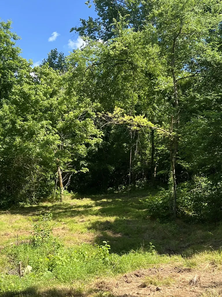 0 Horseshoe Bend Lane Elmwood TN 38560