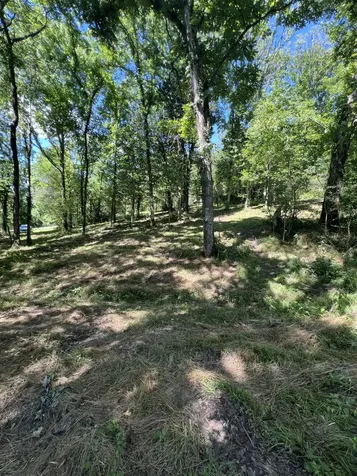 0 Horseshoe Bend Lane Elmwood TN 38560