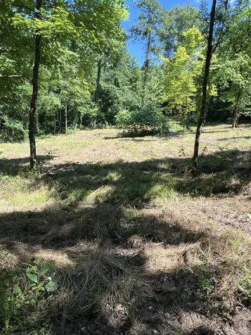 0 Horseshoe Bend Lane Elmwood TN 38560
