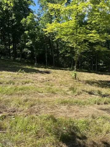 0 Horseshoe Bend Lane Elmwood TN 38560