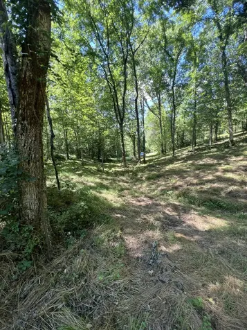 0 Horseshoe Bend Lane Elmwood TN 38560