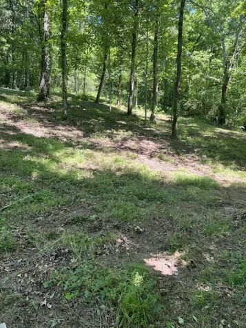 0 Horseshoe Bend Lane Elmwood TN 38560