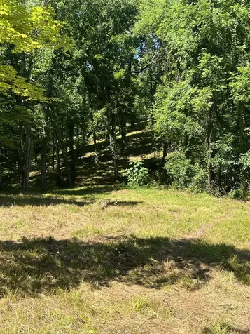 0 Horseshoe Bend Lane Elmwood TN 38560