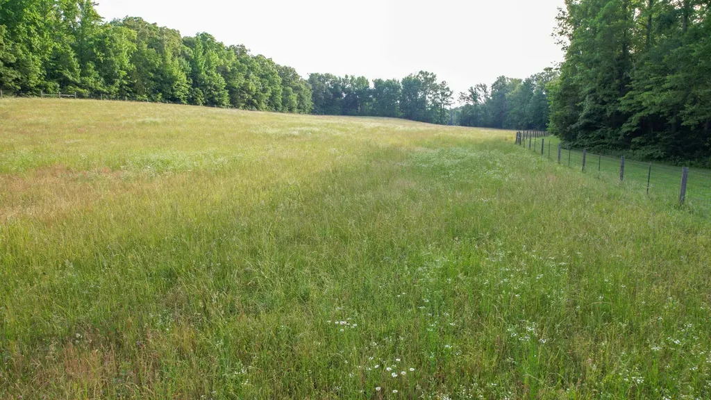 1267 Wades Branch Road Centerville TN 37033