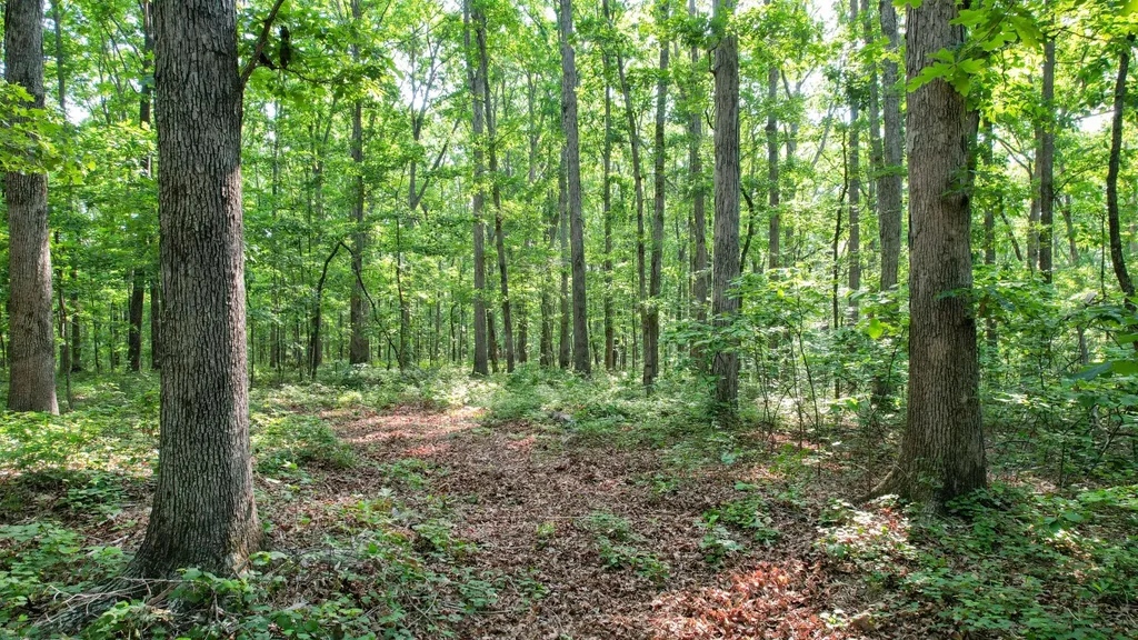 1267 Wades Branch Road Centerville TN 37033