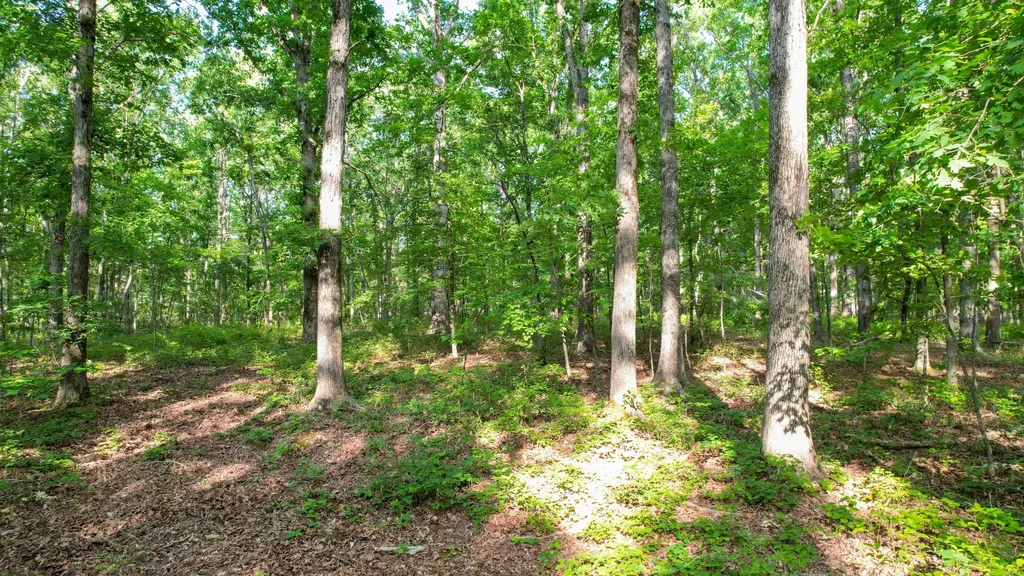 1267 Wades Branch Road Centerville TN 37033