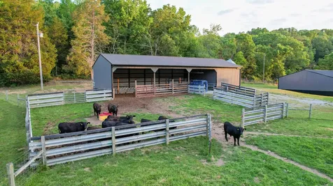 1267 Wades Branch Road Centerville TN 37033