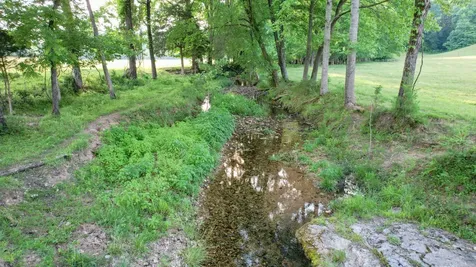 1267 Wades Branch Road Centerville TN 37033